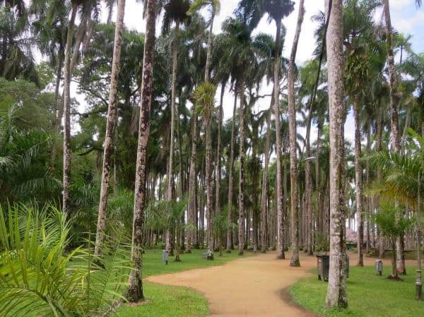 Gedetineerde Ivan Pamina ontsnapt tijdens werkzaamheden in Paramaribo
