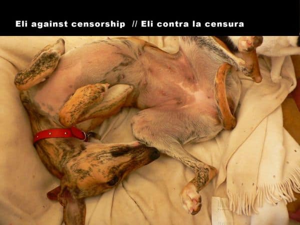 Venezuela. Juli werd gekenmerkt door censuur en officiële ondoorzichtigheid