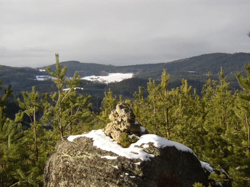 Neuer Nationalpark im Waldviertel: Projekt Kampwald in Planung